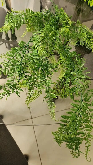 A3d1668656f3a4254969540d462442e9et.jpg